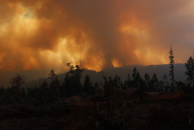 03-172414_u7ax_incendio-forestal-A1-3802187751